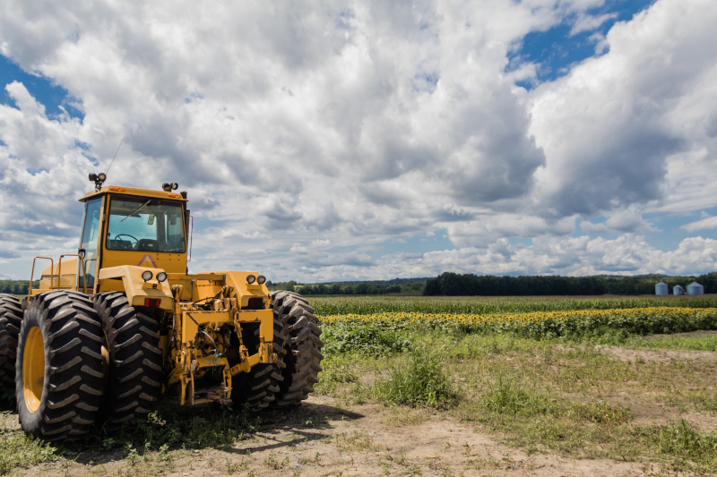 Tractor groc al costat d'un camp de girasols sota el cel blau
